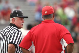 开云体育软件-意甲裁判语义分析辅助判罚准确性的应用探讨，意甲裁判名单