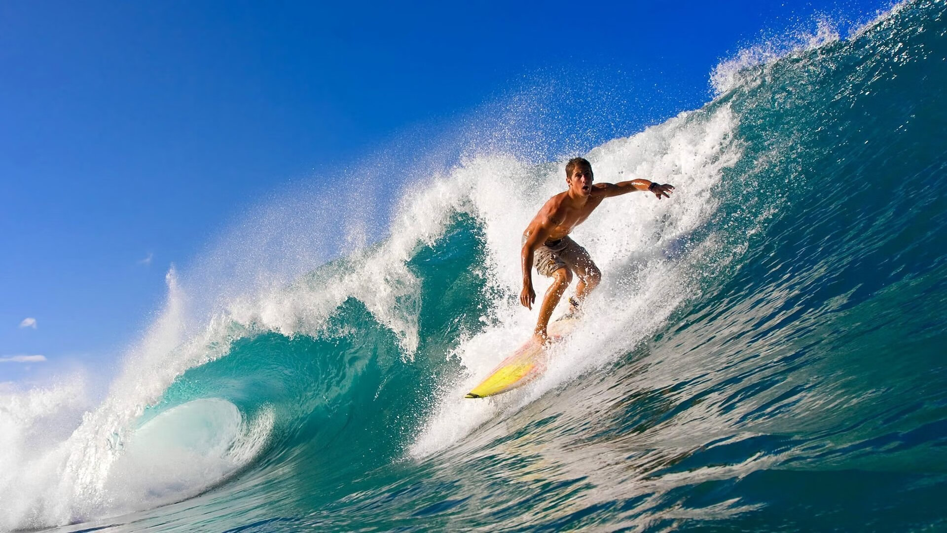 体育新闻中心推动体育内容原创版权保护机制，体育新闻杂志